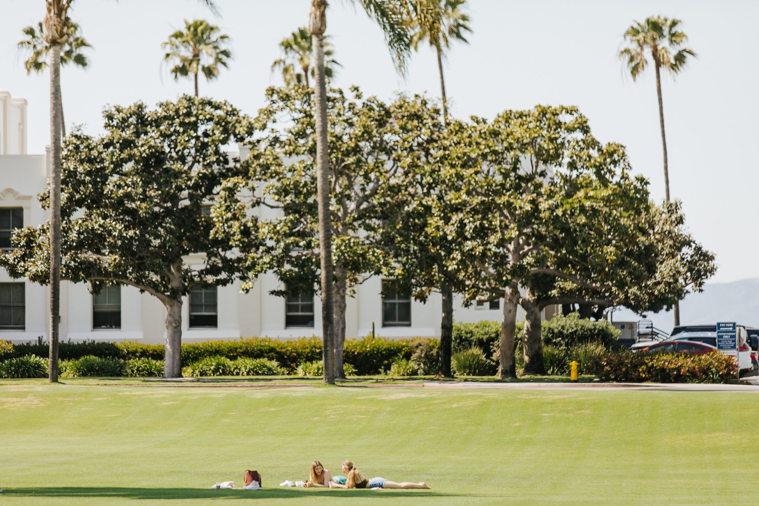 Application Info Digital Viewbook